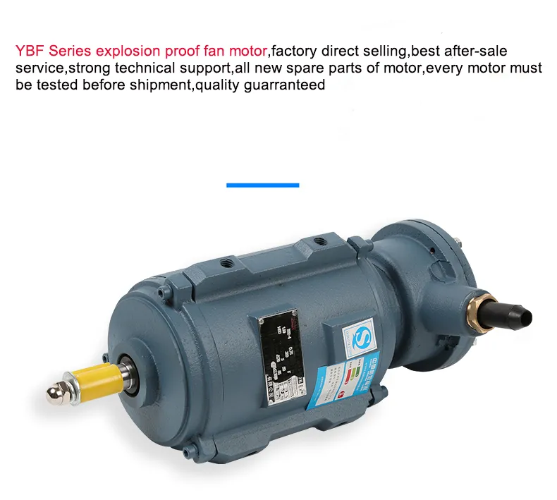 Motor Detail 1