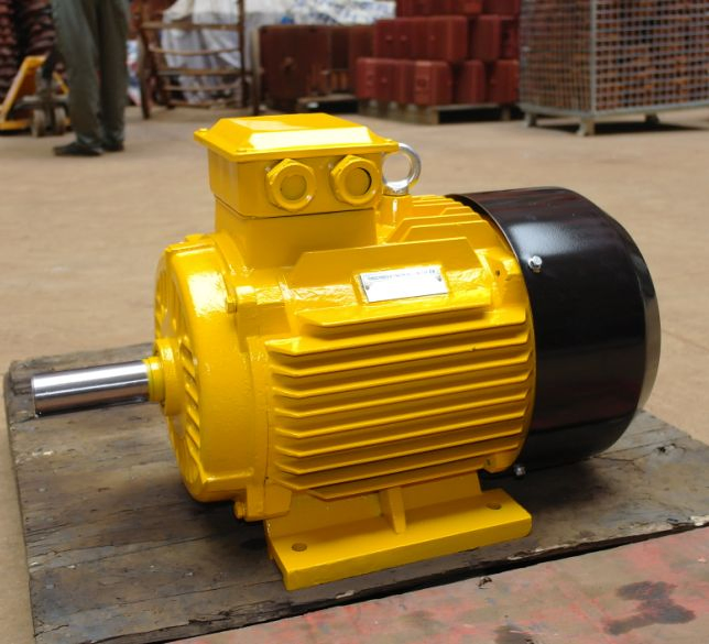Kailida Ms Series Three Phase Asynchronous AC Induction Electric Motor