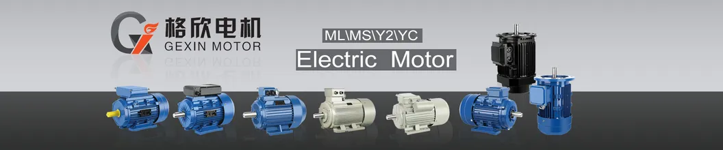 Induction Motor