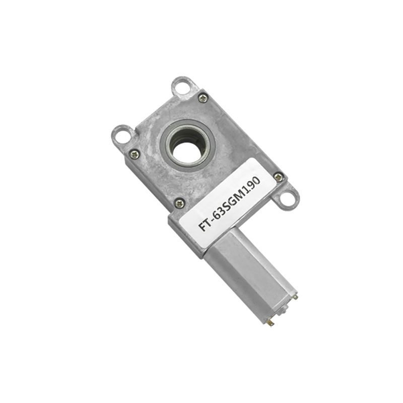Factory New Arrival Powerful Worm Reducer Gear Motor DC 12v 24v High Torque Slow Speed Gear Motor With Line