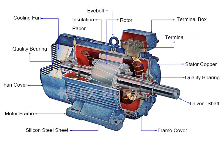 Motor Structure 2