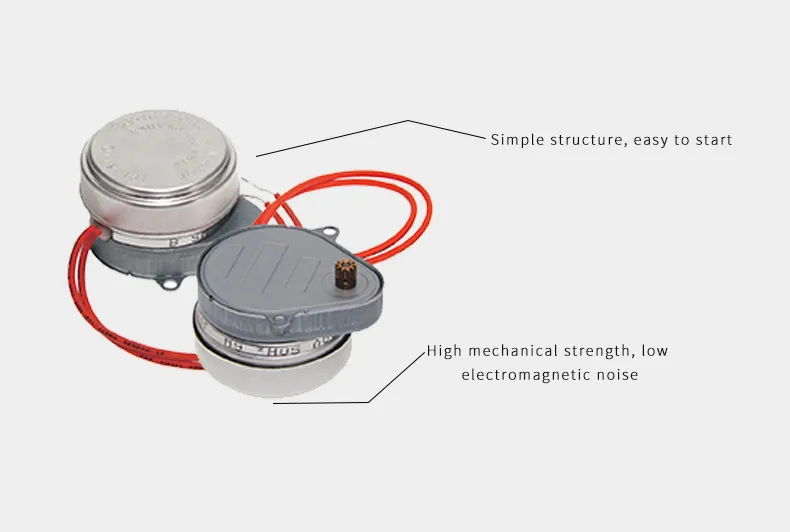 Motorised Hysteresis Zone Synchronous Valve Motor