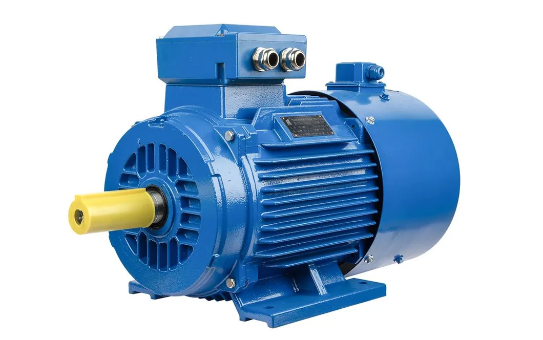 Asynchronous Electric Motor Details