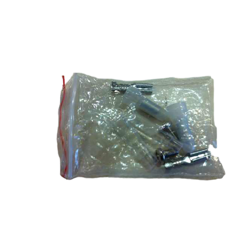 AC Synchronous Gear Motor