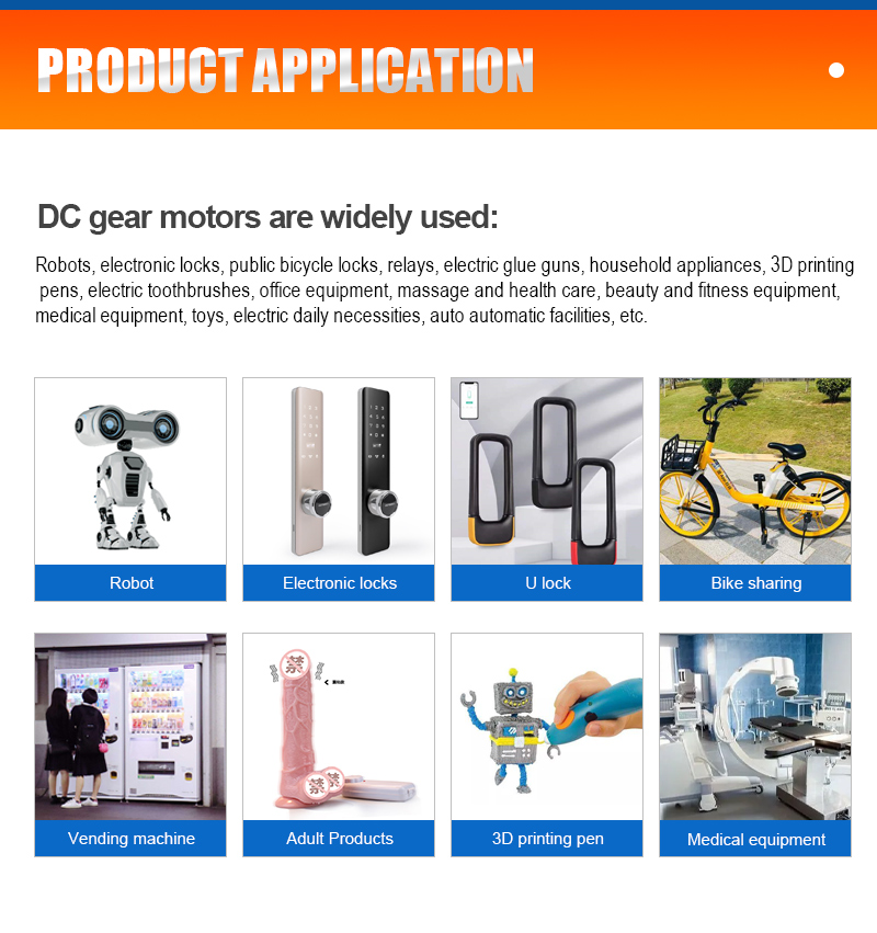 Motor Gallery 5