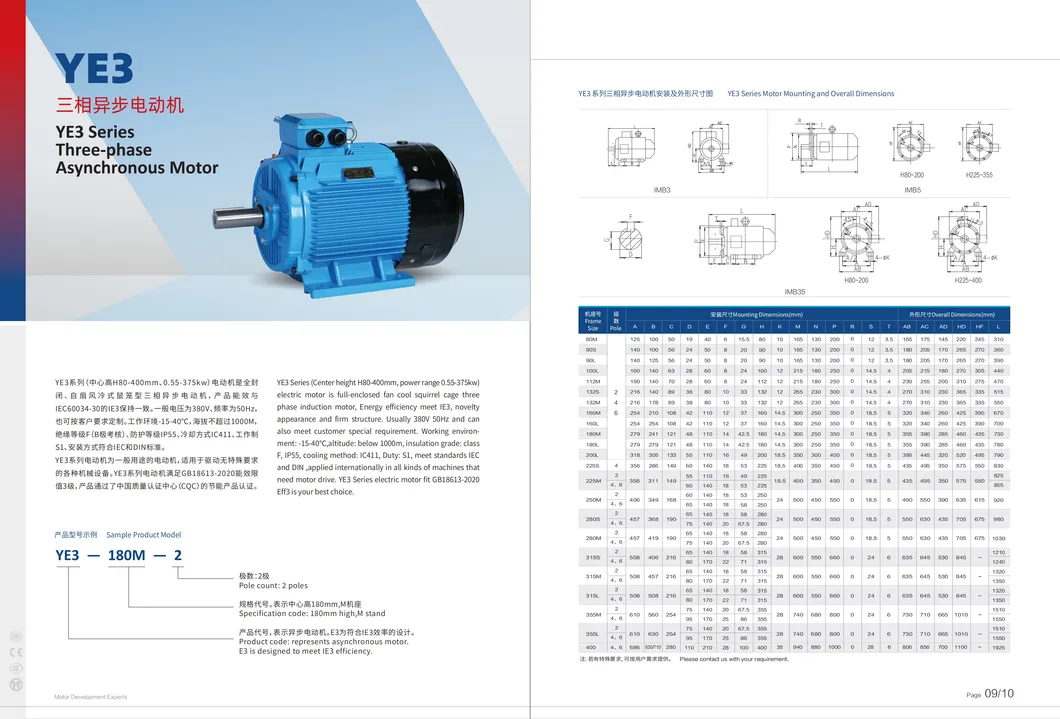 Ultra-High Efficiency Three-Phase AC Induction Motor