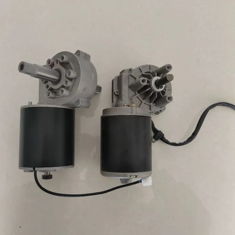 DC Worm Gear Motor 1