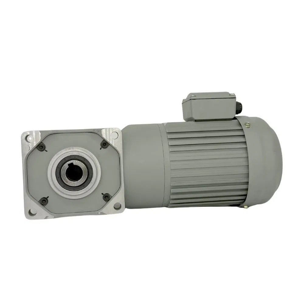 Zf04-45 Risc High Torque Stability Gear Motor with Bevel Gear Reducer for Automatic Parking Garages