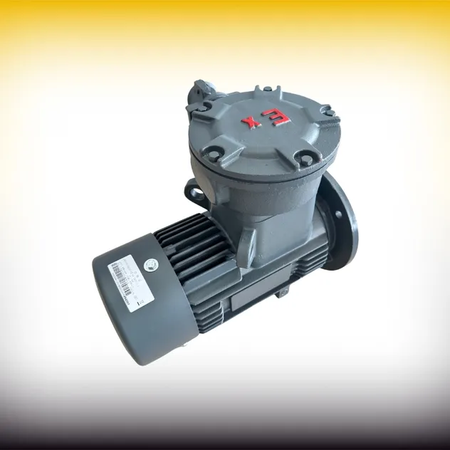 Motor Detail 1