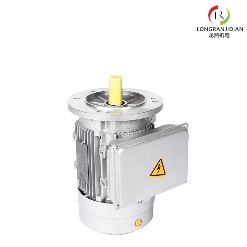 Yl90L-4 Single-Phase Dual-Capacitor Induction Motor