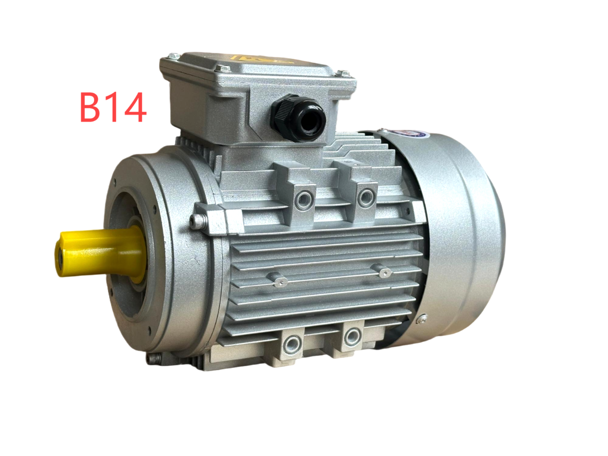 Motor Details