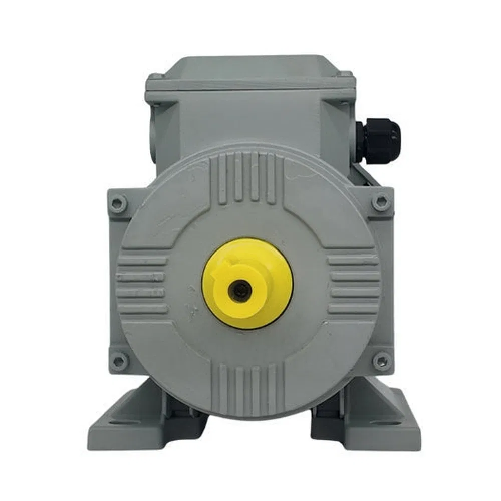 Risc Low Noise High Torque Permanent Magnet Synchronous Motor for Equipment Manufacturer