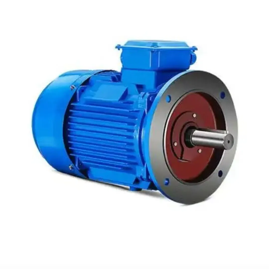 Customized IP55 Variable Speed Asynchronous Motor for International Trade