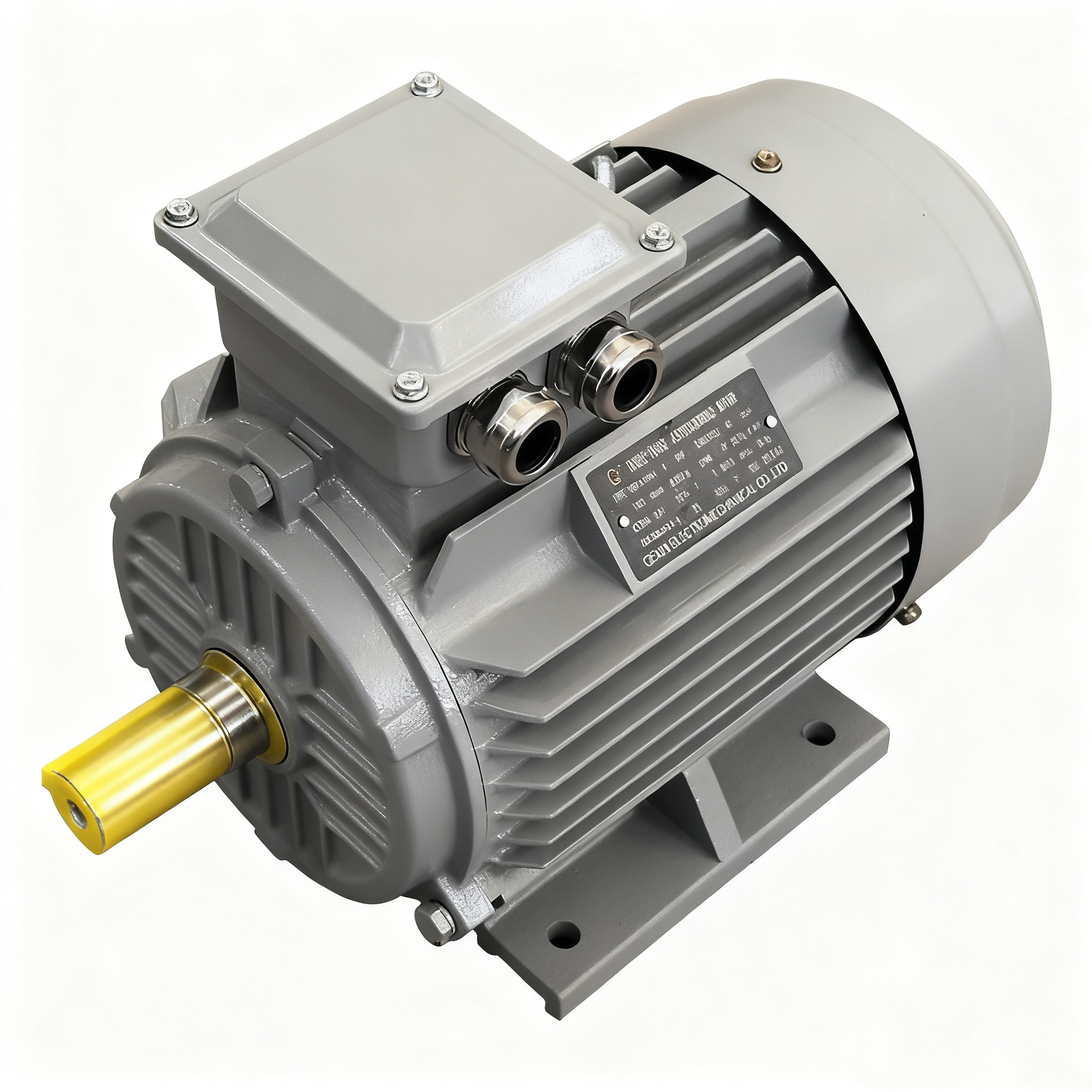 High Efficiency Three-Phase Induction Asynchronous Motor YE3-250M-4 IE3 Electric Motor 55kw AC Motors BIOTE 50/60Hz
