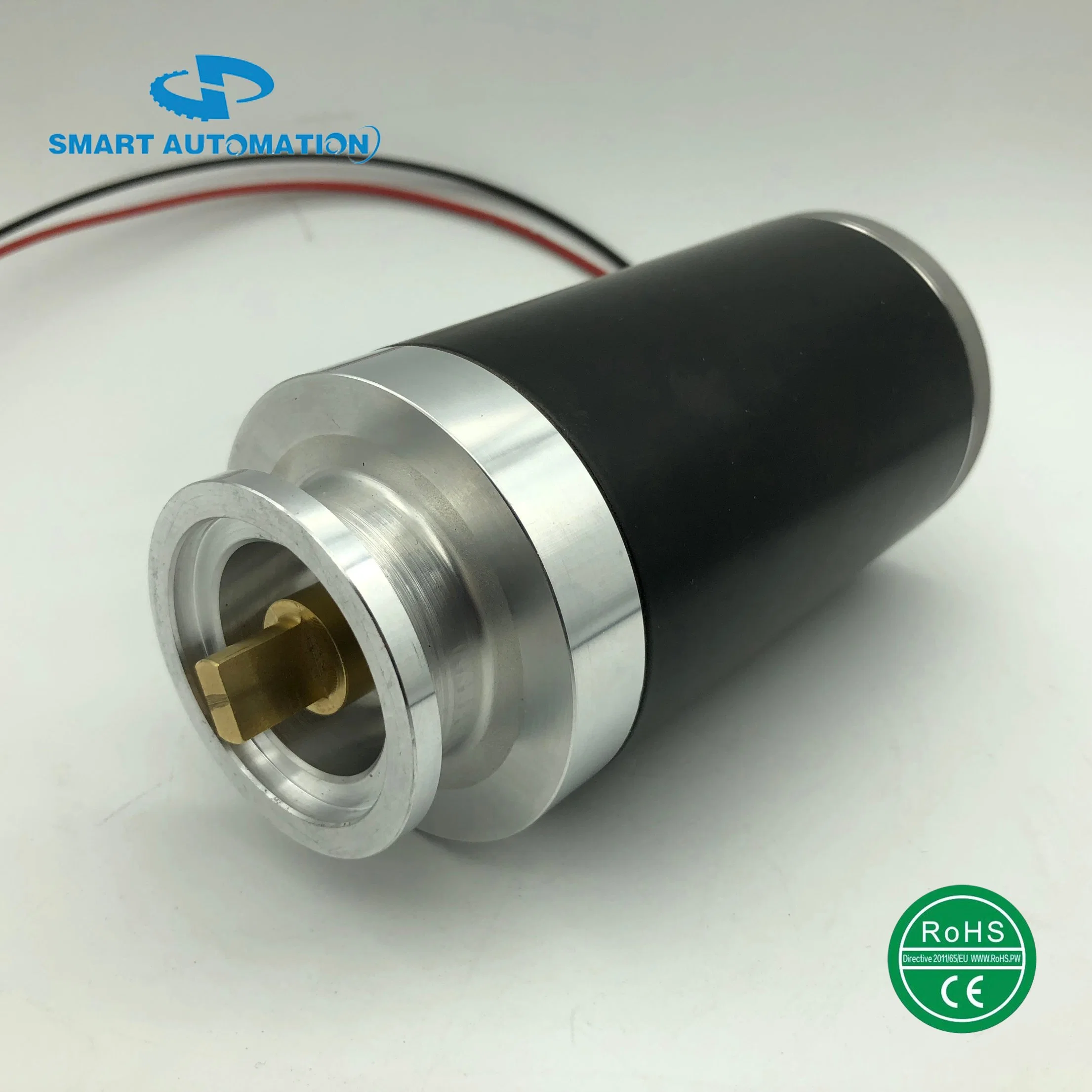 Customized Brushed or Brushless DC Air Pump Motor Hydraulic Pump Motor 12V 24V 48V for Water/ Fuel/Oil/Vacuum/Medical Pumps 15W 30W 50W 100W 200W 500W