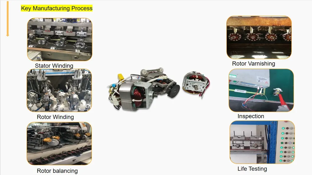 Motor Overview