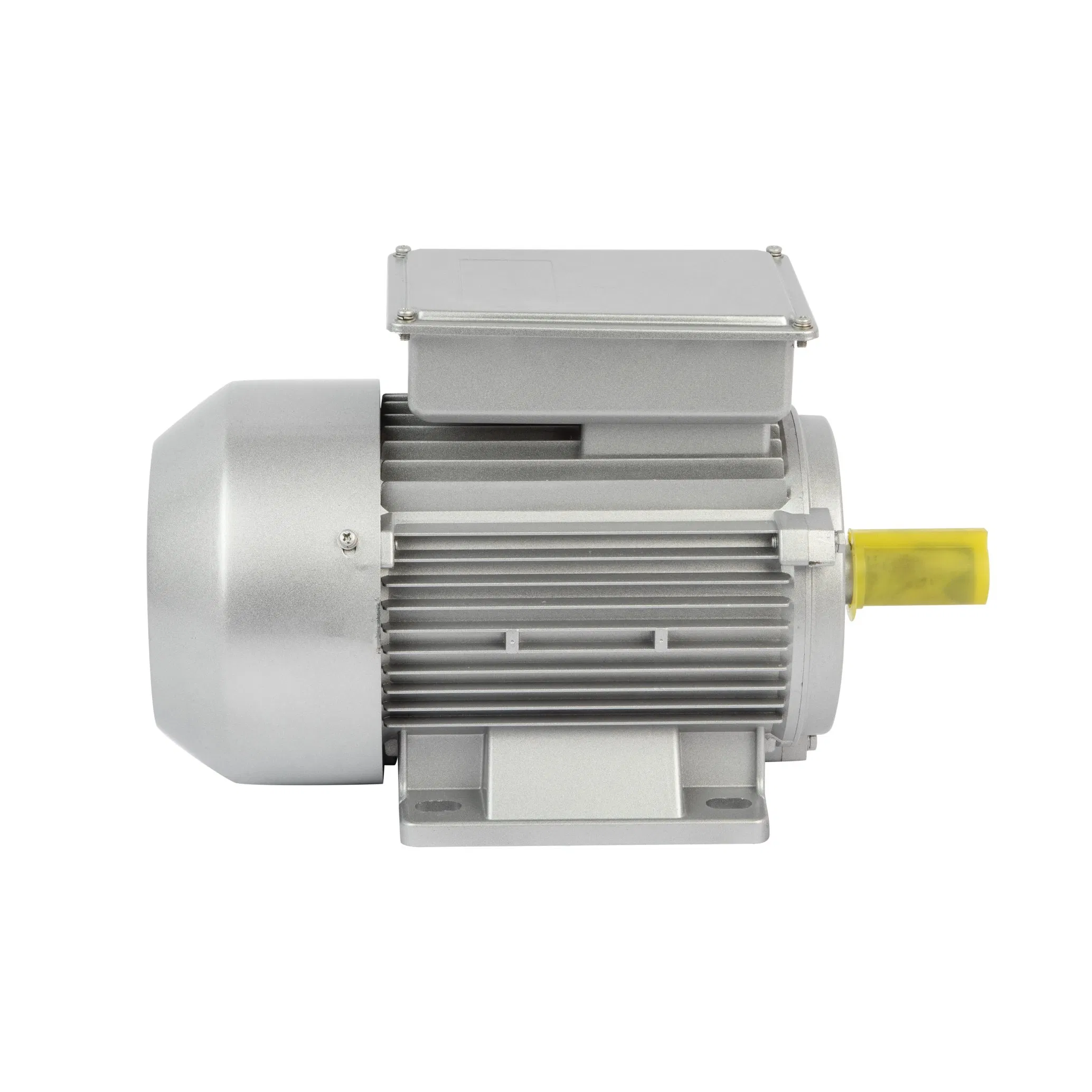 Single Phase Induction Motor 220V Meat Grinder Food Packaging Machinery Motor