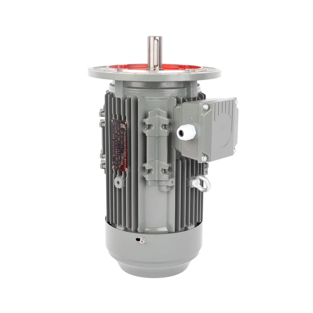 Industrial AC Induction Motor