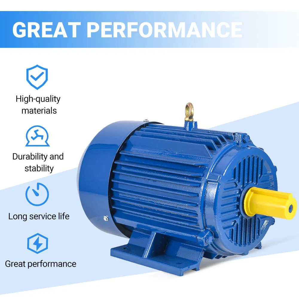 Induction Electric Motor Overview