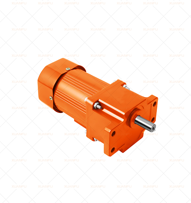 Nice 220v 380v AC Motors Waterproof Power Output Shaft Hollow Gear Electric Motor 1500rpm Price