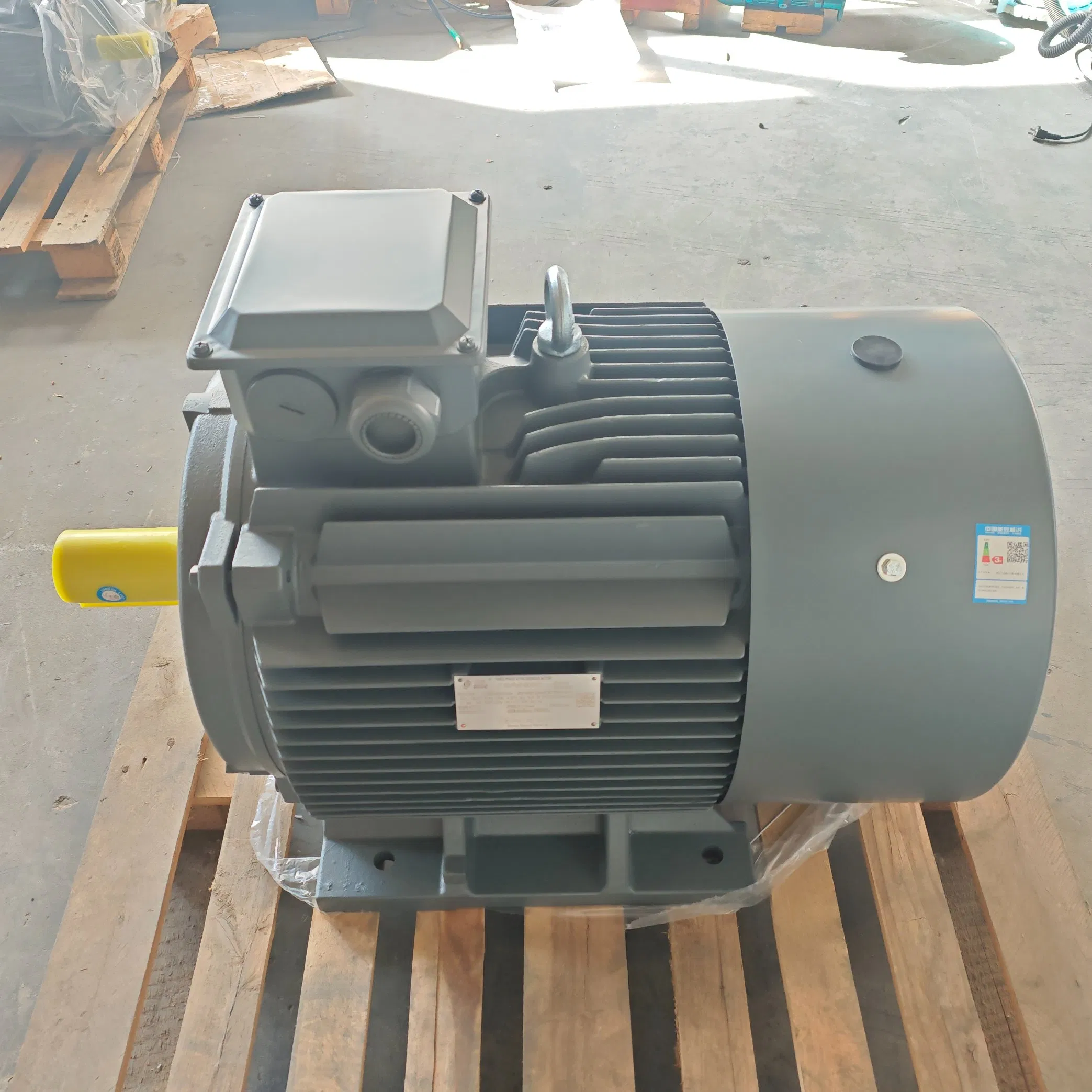 Low Voltage Explosion-Proof AC Electronic Motor with Protection Rating IP55, Suitable for Electric Vehicle Modification Kits
