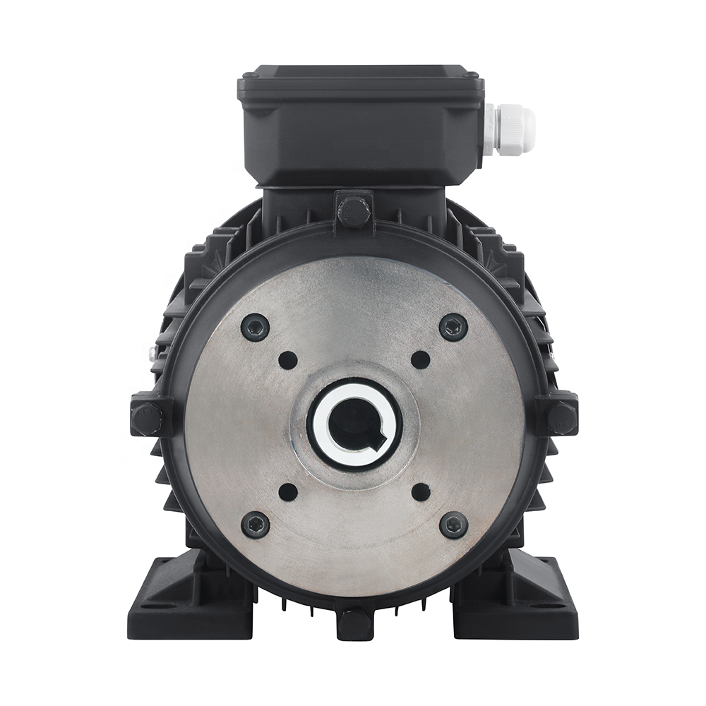 2.2kw 4kw 5.5kw 7.5kw 11kw 15kw 18.5kw Double Bearing Hollow Shaft Motor For Italian 24mm Pump