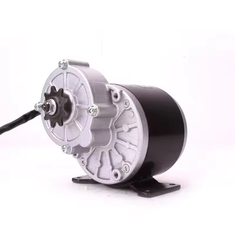 350W 24V 36V DC Gear Motor for Wheelchair Electric Tricycle Vehicle Motorcycle My1016z