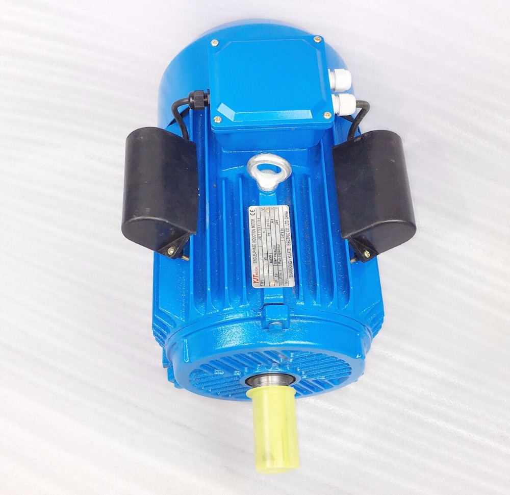 Electric Motor Detailed View