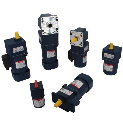 "Daiion 70mm Single-Phase AC Gear Motor 15W 50/60Hz 110V/220V/380V 110V Speed Control with Gearbox"