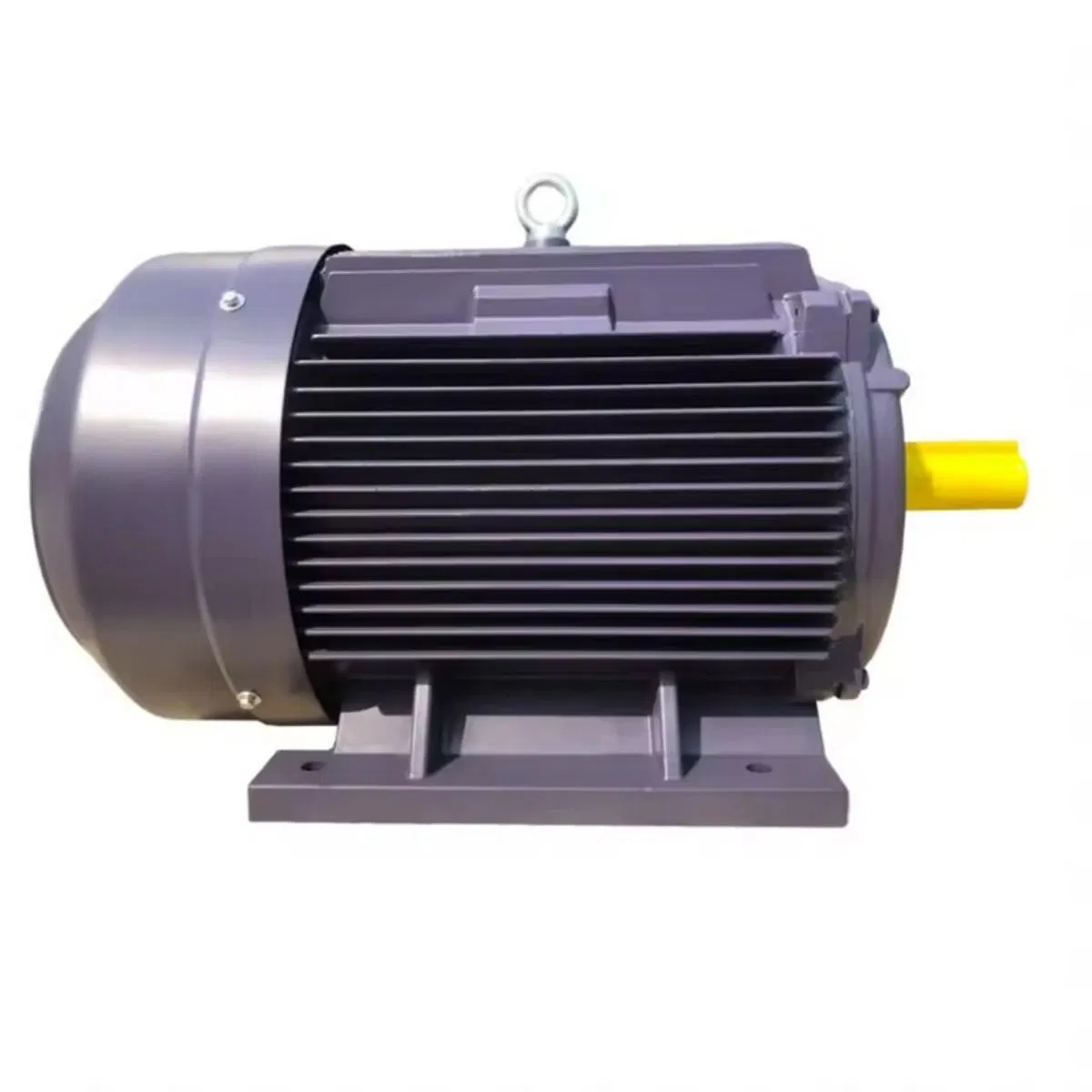 Cost-Effective Tefc High Strength Variable Speed Drive Motor for Household