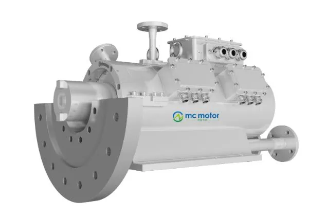Synchronous Electric Motor