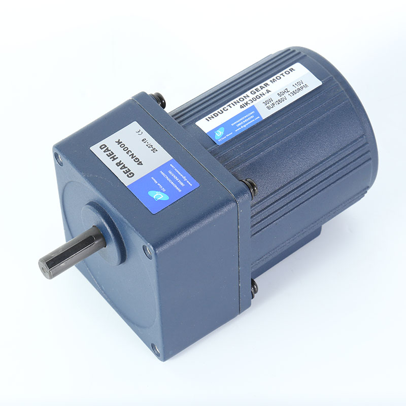 Single Phase 220VAC 90w Speed Control Gear Motor