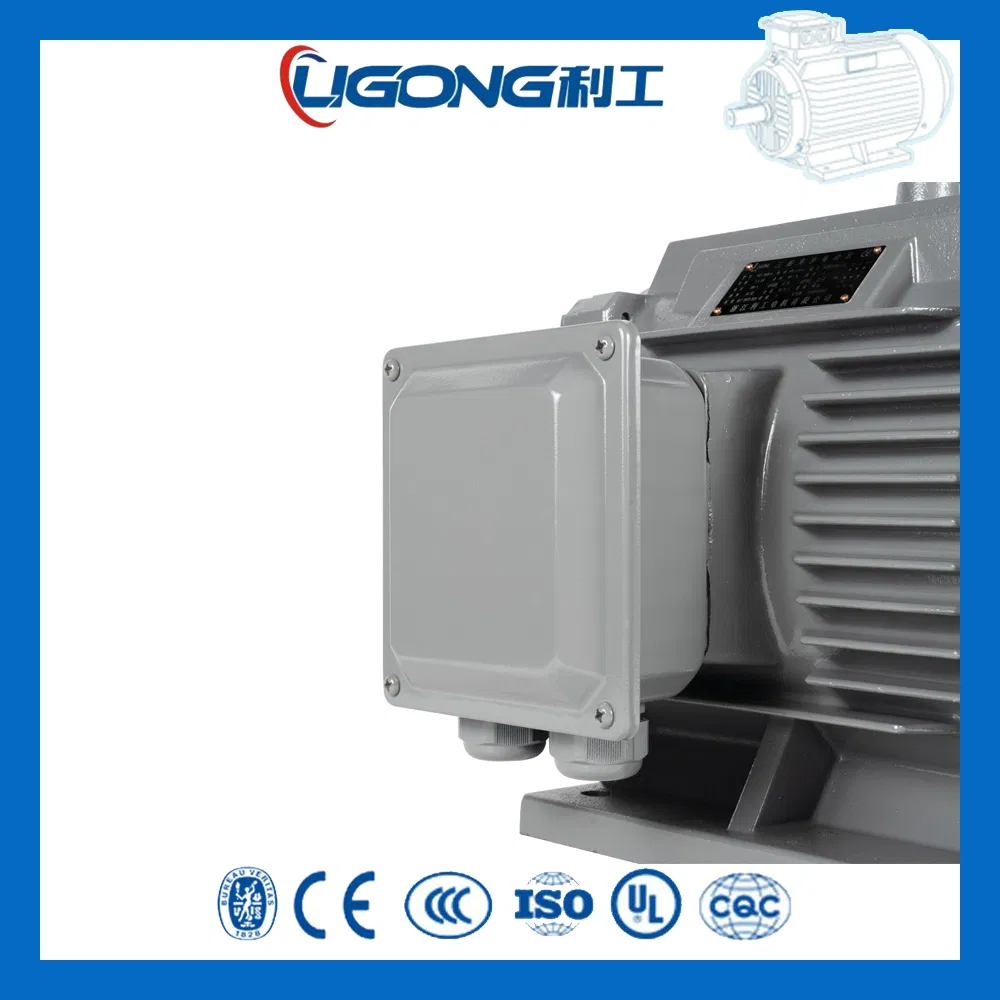 Yd-180L-8/6/4 Triple-Speed Speed Variable Yd Three-Phase Asynchronous Motor 7kw/9kw/12kw for Packaging Machinery