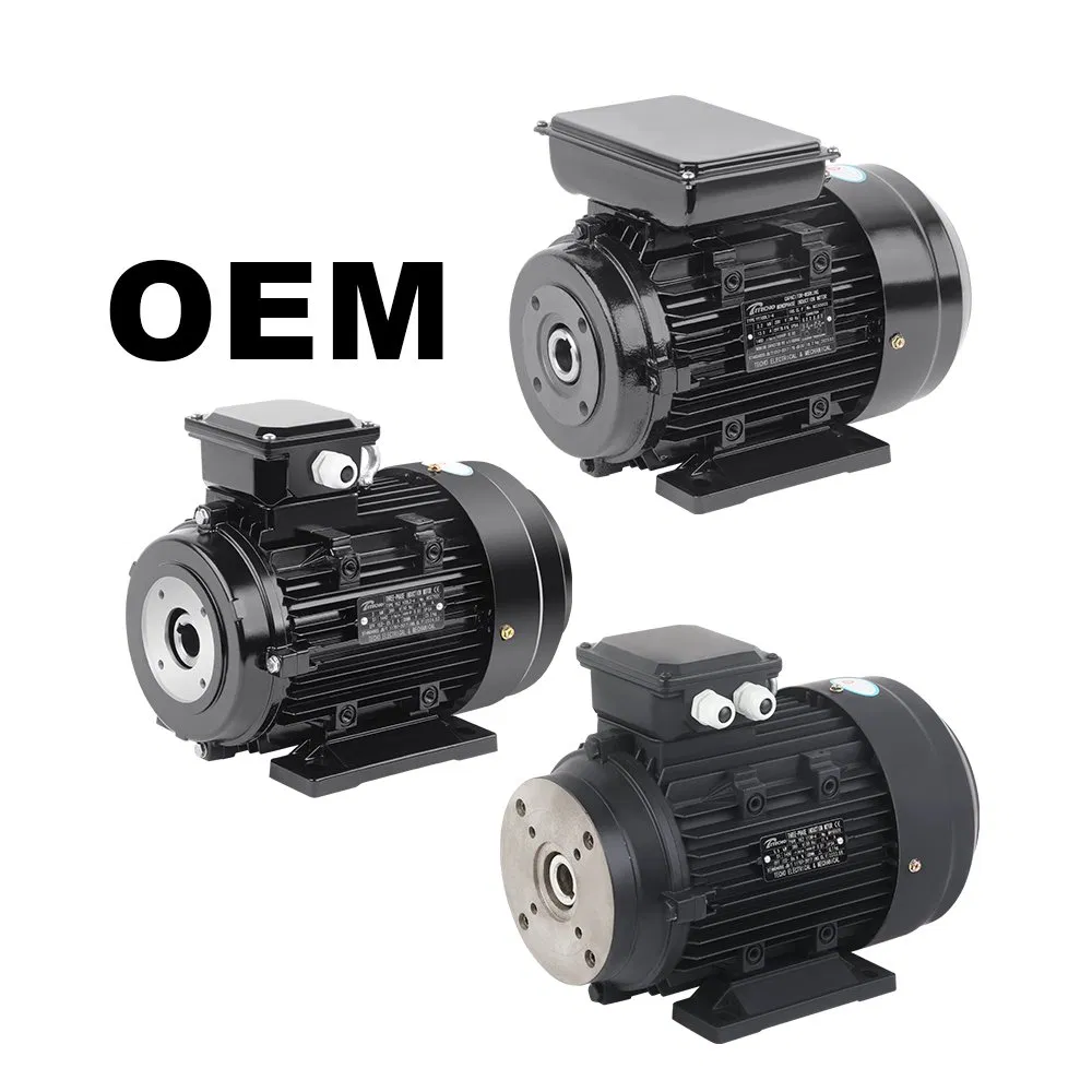 1HP, 2HP, 3HP, 4HP, 5.5HP, 7.5HP, 10HP, 15HP, 20HP, 25HP, 30HP, 40HP, 50HP, 60HP, 75HP, 100HP Three Phase Induction AC Asynchronous Electric Motor