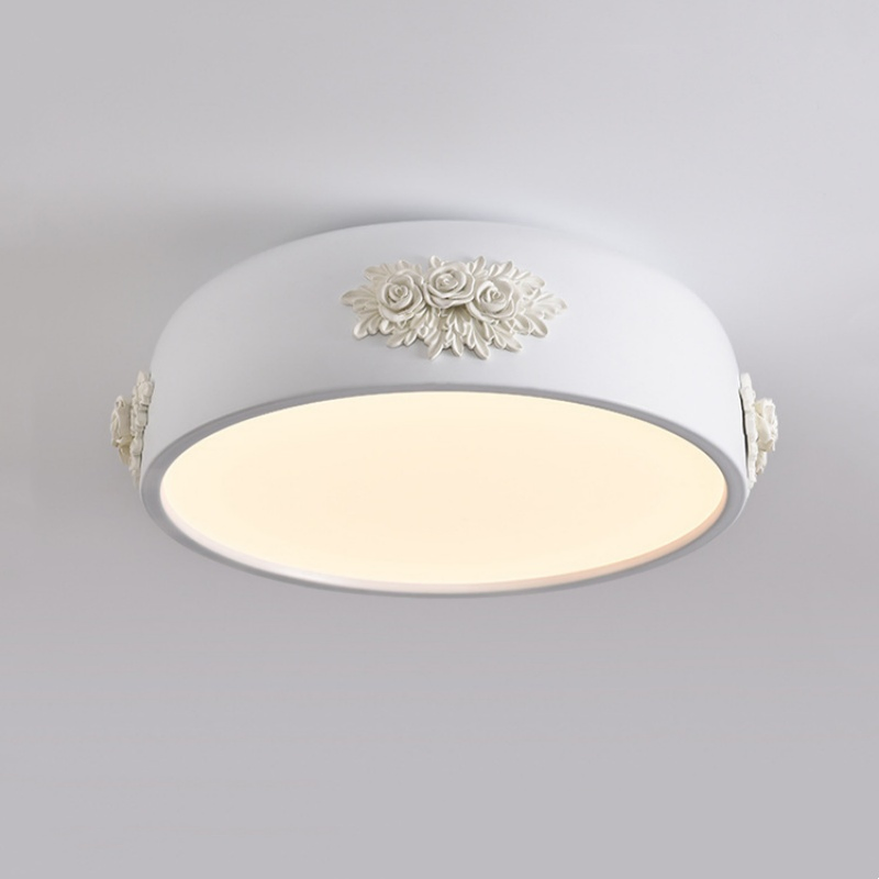 Modern Designer Ceiling Light Acrylic Shape Nordic Creative Decorative LED Lighting for Living Room (ZY-FS007)