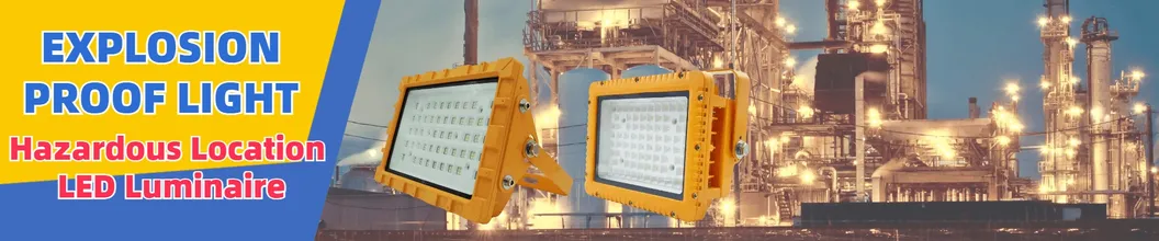 LED Flood Light