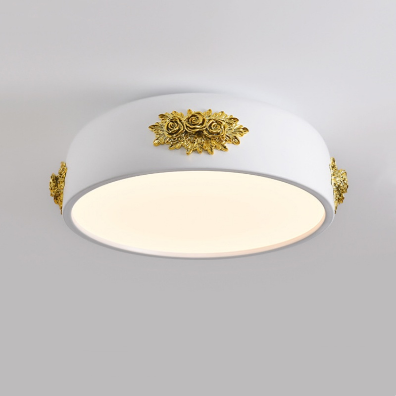 Modern Designer Ceiling Light Acrylic Shape Nordic Creative Decorative LED Lighting for Living Room (ZY-FS007)