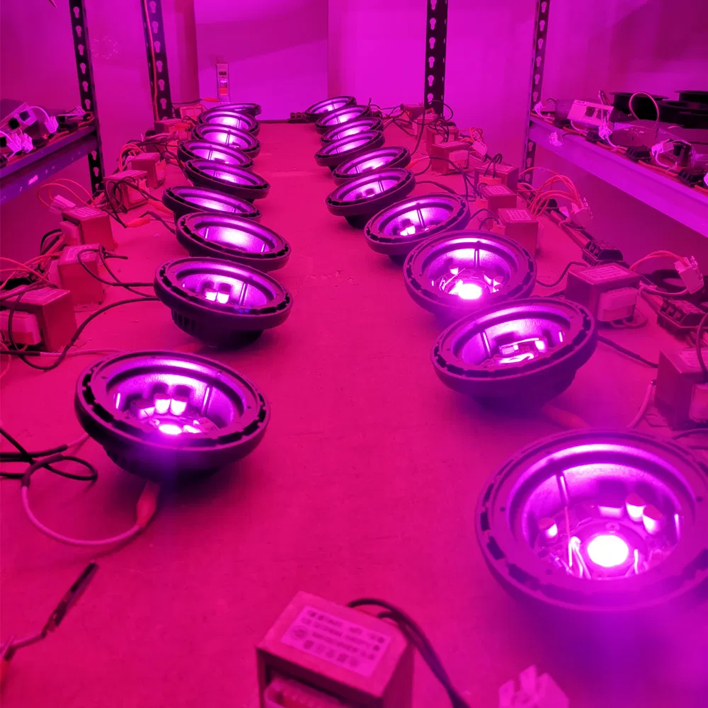 Rgbcw Color Changing Low Voltage AR111 PAR36 LED Bulb for in-Ground Well Lights