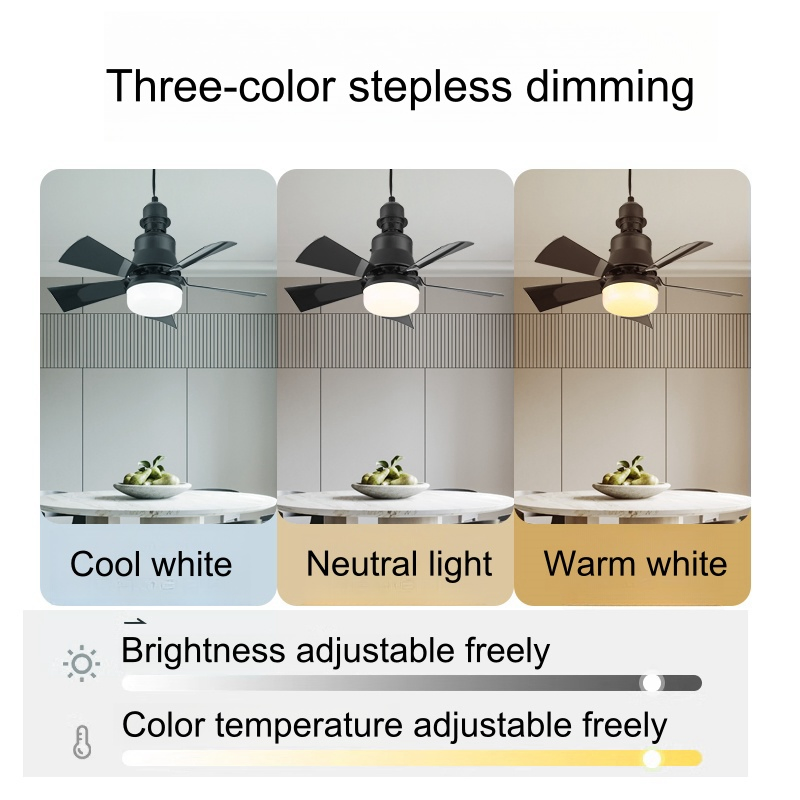 30W LED Lamp Indoor Decorative Living Room Remote Control Modern Ceiling Fan Lighting