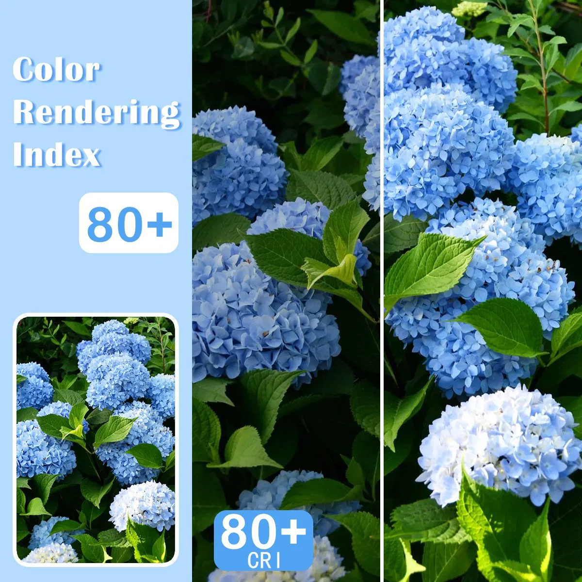 Edison Style Vintage Lamp G80 G95 G125 4W 6W 8W 220-240V LED Filament Bulb for Indoor Decoration Lighting