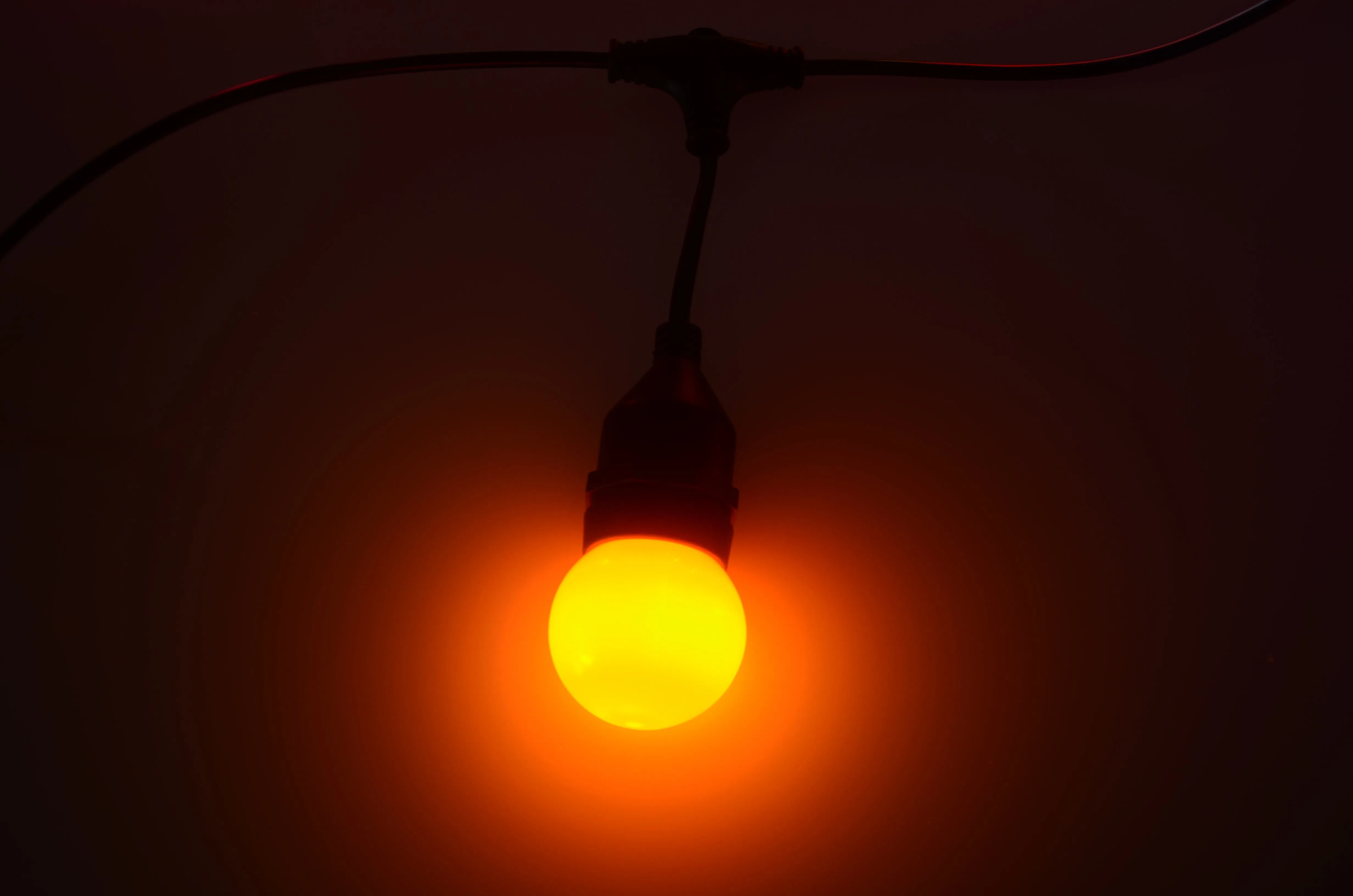 Customizable Copper Wire LED Decorative Festoon Lighting