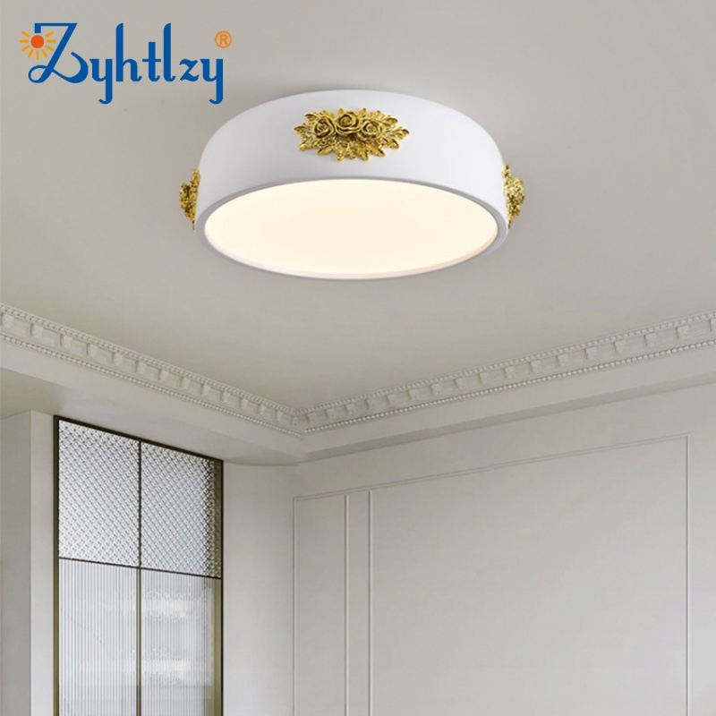 Modern Designer Ceiling Light Acrylic Shape Nordic Creative Decorative LED Lighting for Living Room (ZY-FS007)