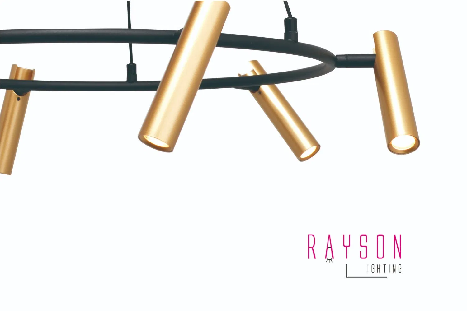 Modern Pendant Light CCT LED Lamp Indoor Decorative Dining Room Lighting (JL01)