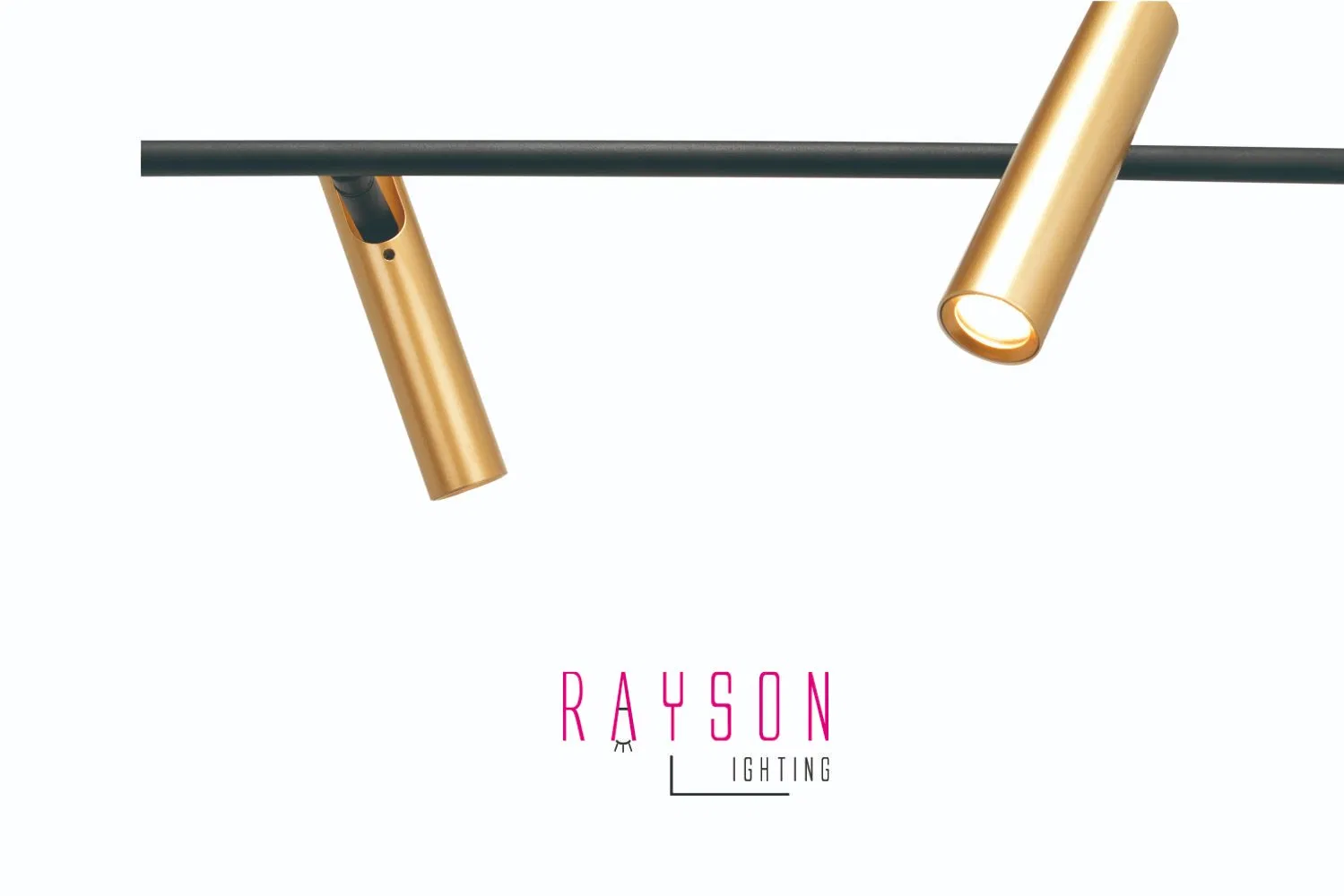 Modern Pendant Light CCT LED Lamp Indoor Decorative Dining Room Lighting (JL01)