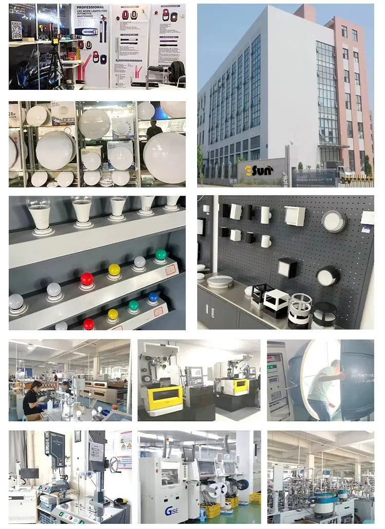 Production Line