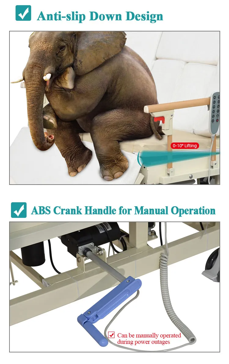 Nursing Bed Detail 6