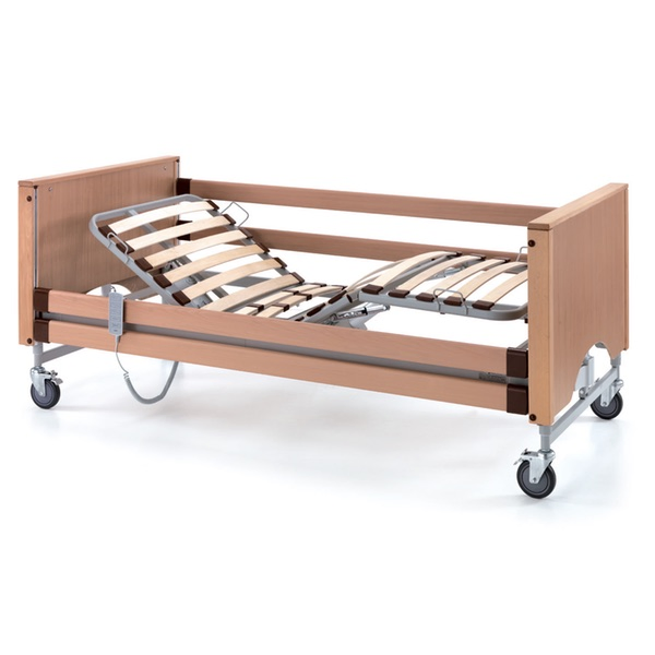 Medical Adjustable Home Care Bed Bed Ws-01 Tool-Free Assembly