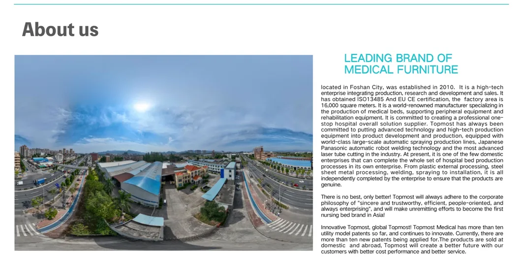 Electric Super Ultra Low Bed