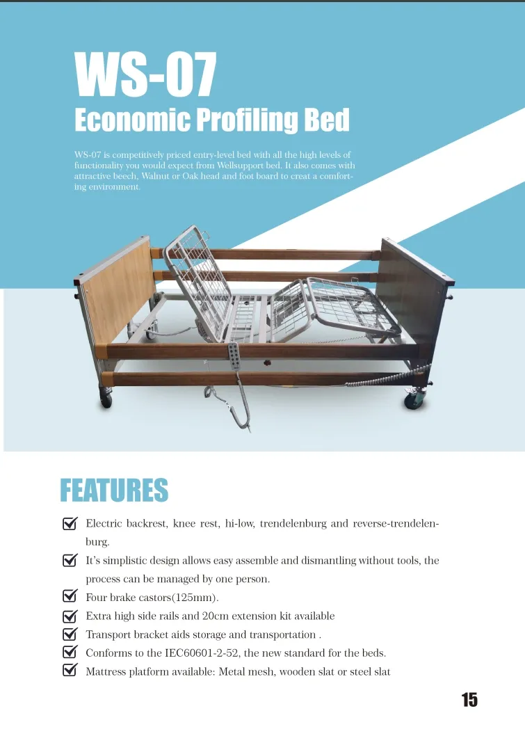 Motorized Care Bed WS-07 View 1