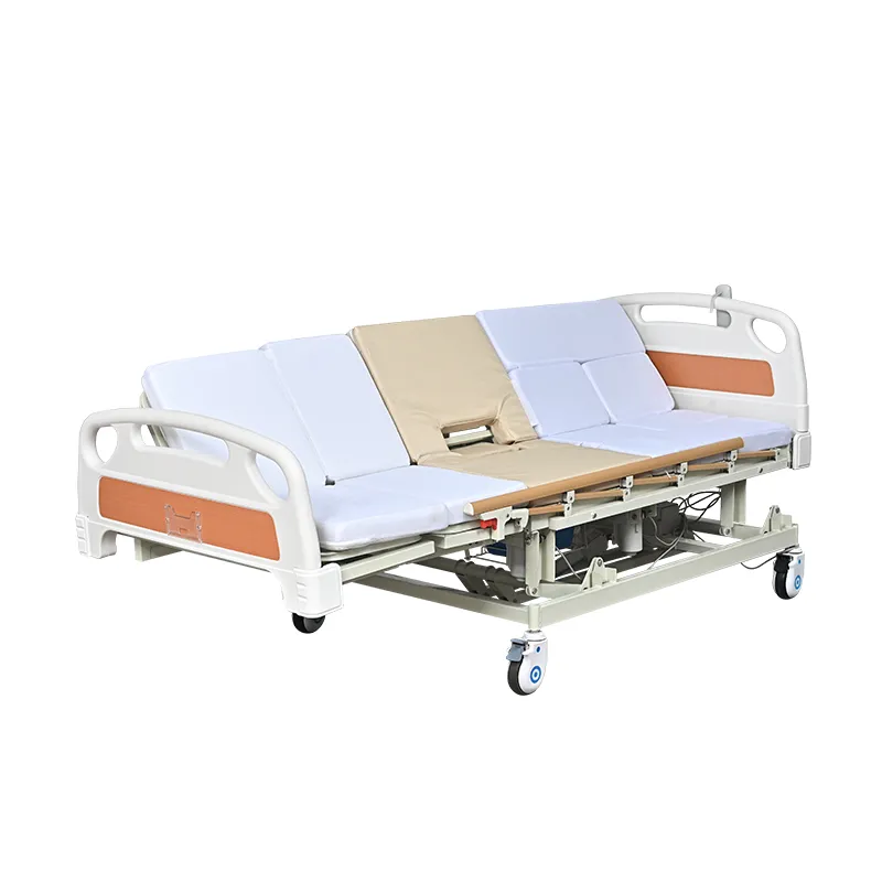 Nursing Bed View 1